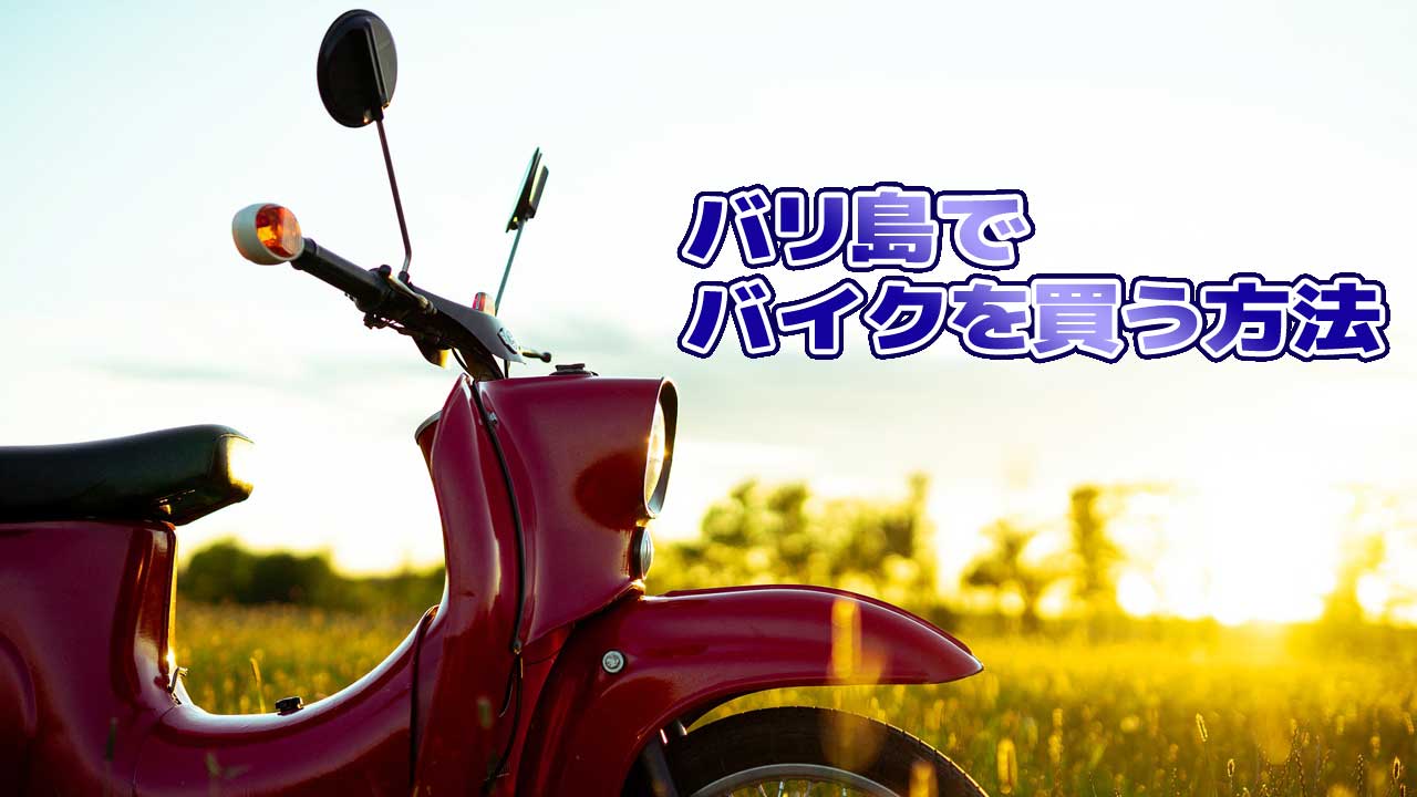 希望者のみラッピング無料】 別売 インドネシア バリ島 バイクプレート